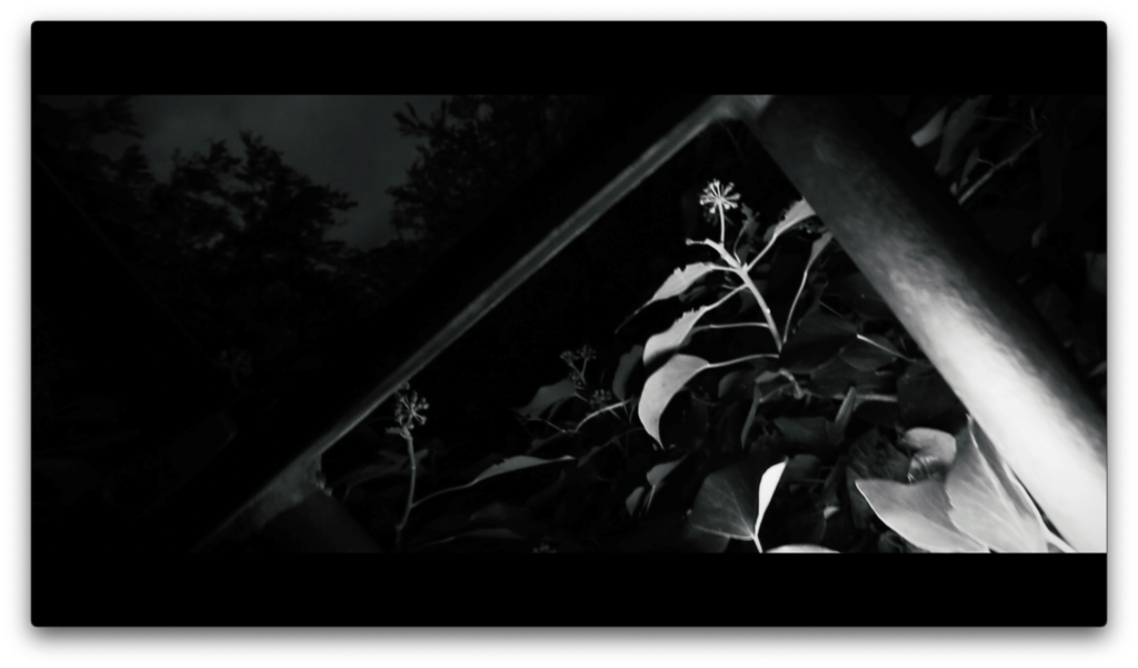 Bildschirmfoto 2023 06 17 um 22.54.33
